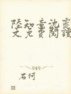 陆知意沈霁川全文免费阅读