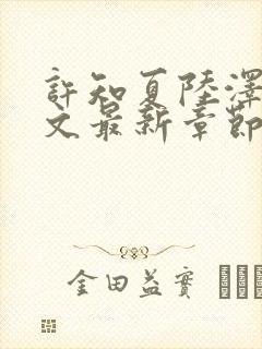 许知夏陆泽言全文最新章节免费阅读