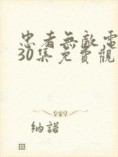 忠者无敌电视剧30集免费观看高清