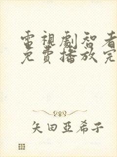 电视剧智者无敌免费播放完整版全集封面