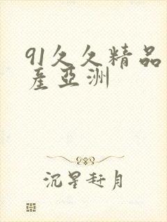 91久久精品国产亚洲