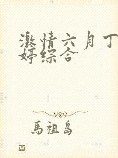 激情六月丁香婷婷综合