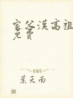 家父汉高祖全文免费