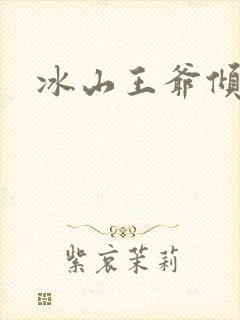 冰山王爷倾城妃封面