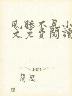 风听不见小说全文免费阅读最新章节