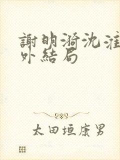 谢明漪沈淮舟番外结局封面