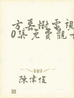 方嘉树电视剧40集免费观看封面