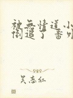 被无情道小师弟倒追了 番外封面