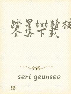 踏星txt精校全集下载