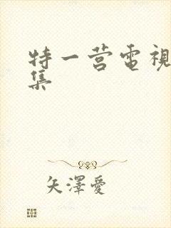 特一营电视剧全集