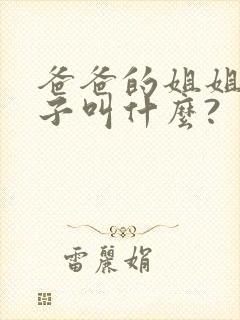 爸爸的姐姐的儿子叫什么?封面