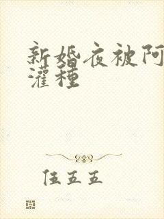 新婚夜被阿龟强灌种封面