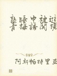 熟睡中被进了H青梅诱哄视频