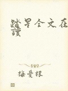 踏星全文在线阅读封面