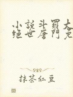 小说斗罗大陆2绝世唐门免费阅读全文作者封面