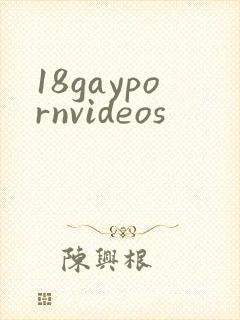 18gaypornvideos