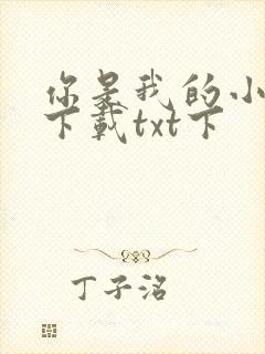 你是我的小确幸下载txt下