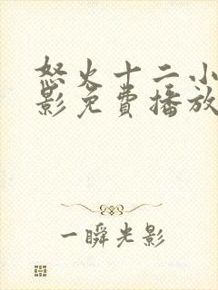 怒火十二小时电影免费播放在线观看