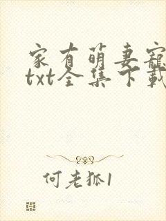 家有萌妻宠上天txt全集下载