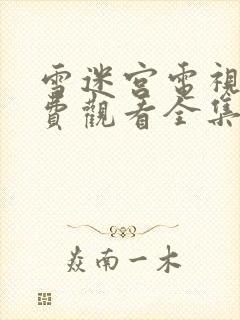 雪迷宫电视剧免费观看全集完整版高清封面