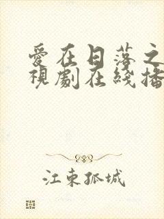 爱在日落之前电视剧在线播放