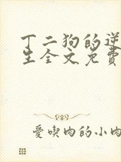丁二狗的逆袭人生全文免费阅读