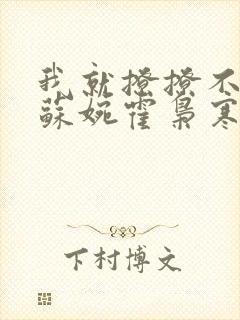 我就撩撩不负责苏婉霍枭寒全文免费阅读封面