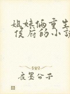 姐妹俩重生换嫁 侯府的小说