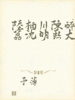 陆柏川陈醉许佳荔沈明熙大结局