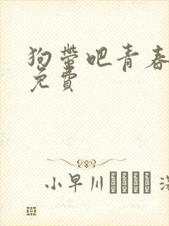 狗带吧青春全文免费