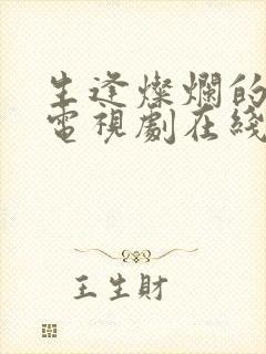 生逢灿烂的日子电视剧在线观看免费封面