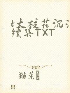 t大校花沉浮录续集TXT