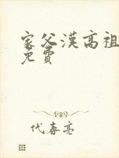 家父汉高祖全文免费