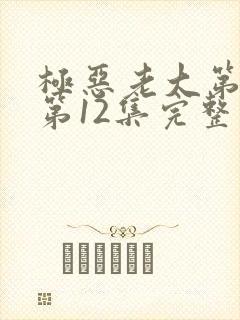 极恶老大第2季第12集完整版