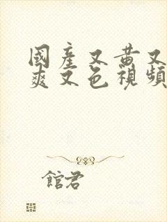 国产又黄又骚又爽又色视频