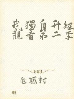 我独自升级在线观看第二季动漫