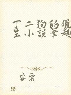 丁二狗的猎艳人生小说笔趣阁封面