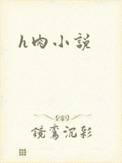 h肉小说