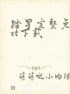 踏星完整免费txt下载