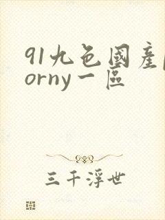 91九色国产porny一区