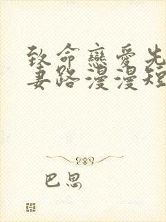 致命恋爱先生追妻路漫漫短剧