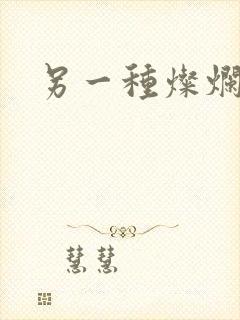 另一种灿烂生活