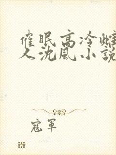 催眠高冷雌坠美人沈风小说最新章节封面