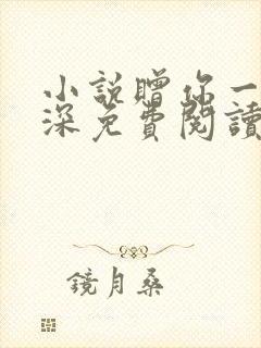 小说赠你一世情深免费阅读完结版的封面