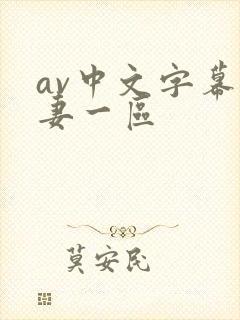 av中文字幕人妻一区