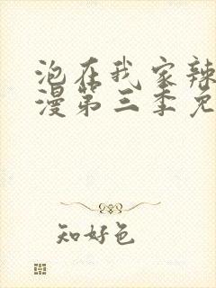 泡在我家辣妹动漫第三季免费观看