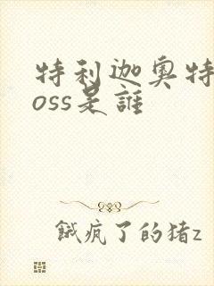 特利迦奥特曼boss是谁封面