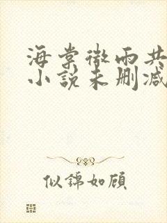 海棠微雨共归途小说未删减免费看封面