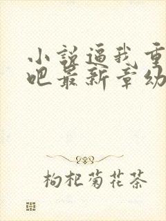 小说逼我重生是吧最新章幼儿园一把手