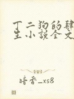 丁二狗的肆意人生小说全文